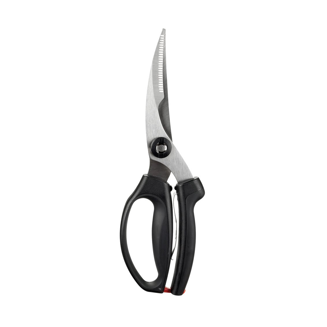 poultry-shears-b9 1072292V3.jpg