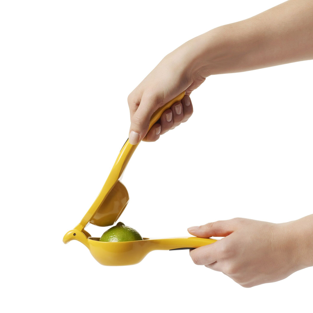 citrus-squeezer-n0 gg_1057962_4a.jpg