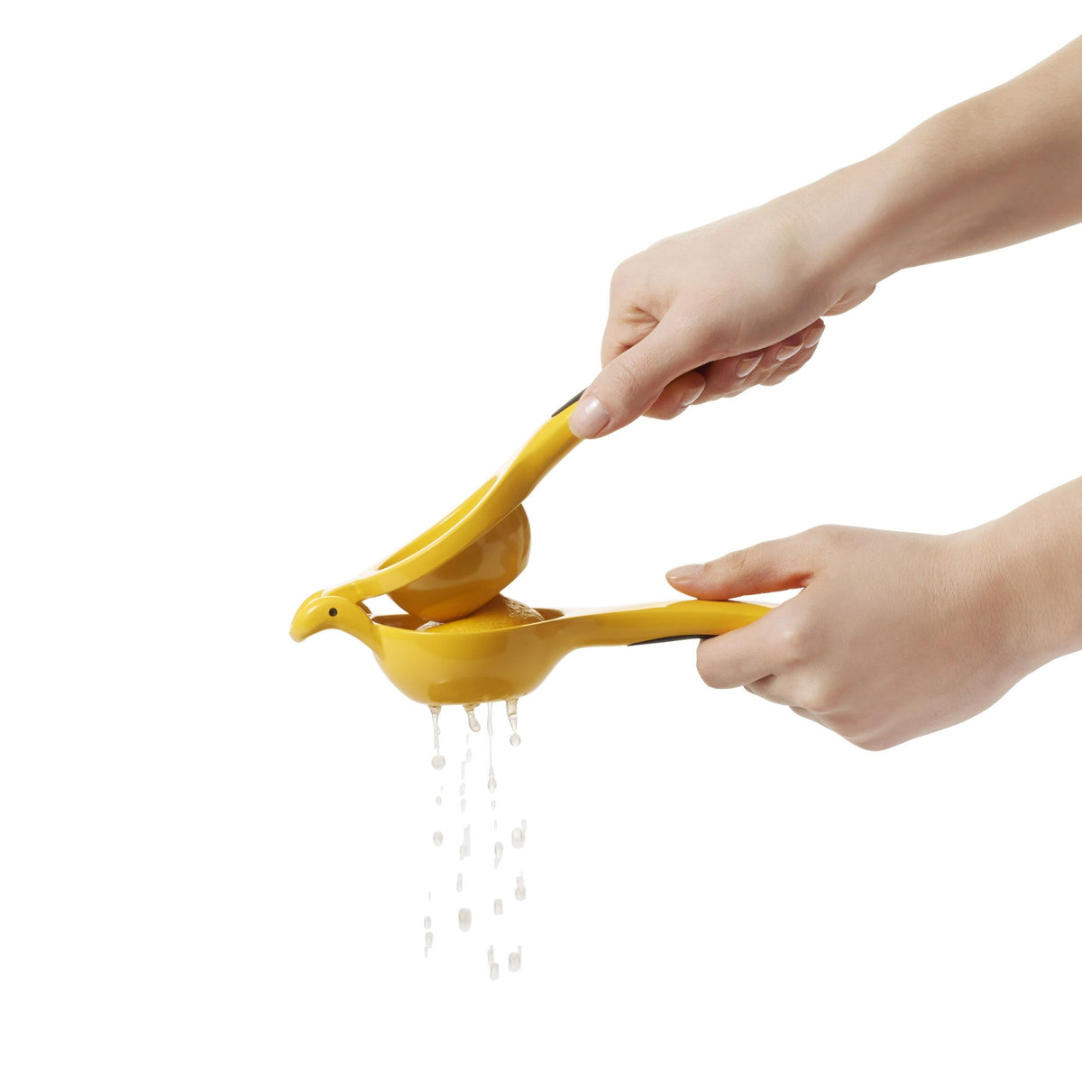 citrus-squeezer-n0 gg_1057962_4b.jpg