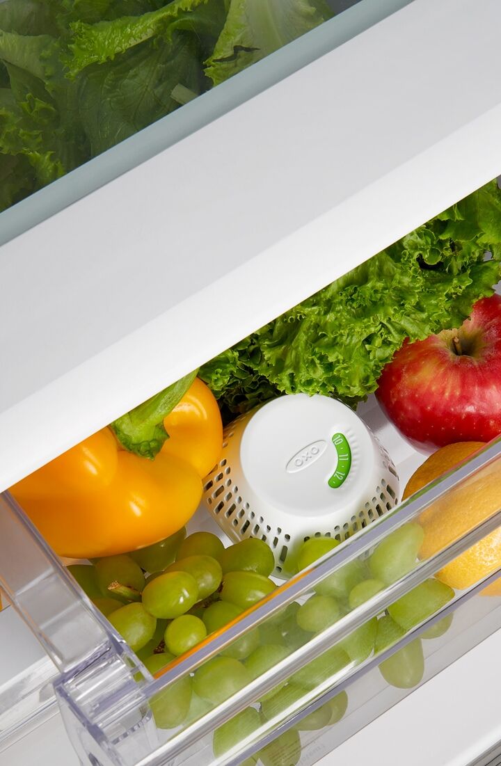 greensaver-standing-crisper-insert-1-pc-y7 gg_111212800_1b.jpg