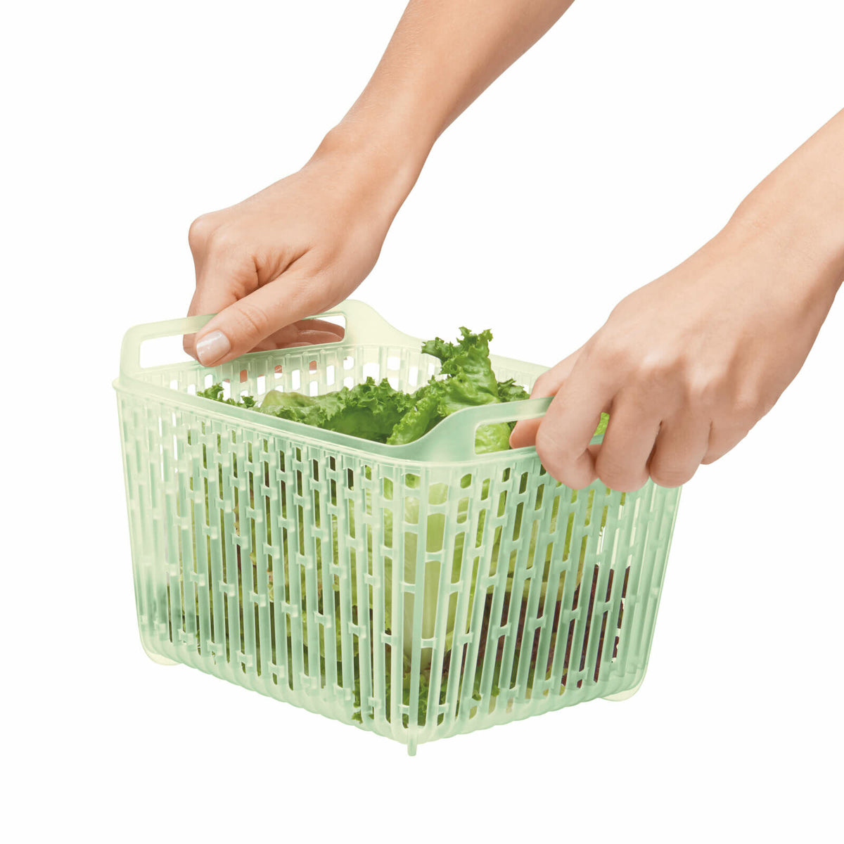 greensaver-produce-keeper-4-3-qt-u3 gg_11140000_4c_1_.jpg