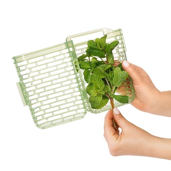 greensaver-herb-keeper-small-h9 gg_11212200_4.jpg