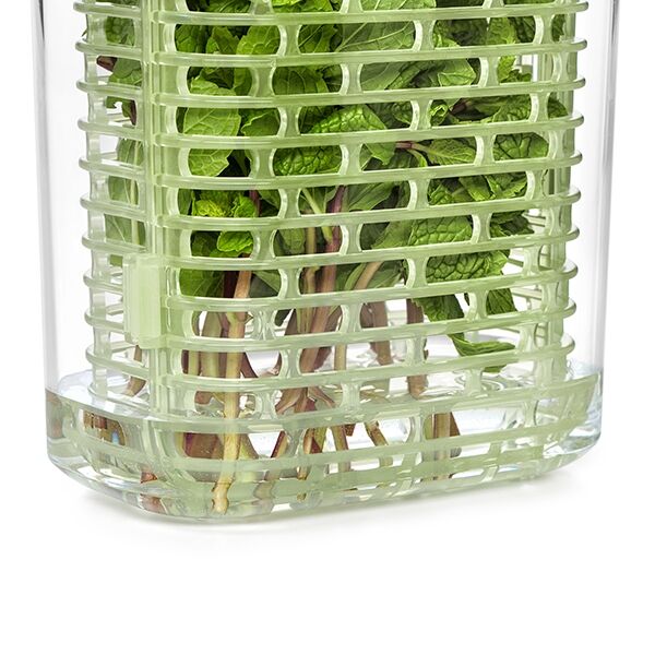 greensaver-herb-keeper-small-h9 gg_11212200_7.jpg