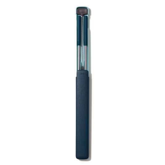 4-piece-reusable-straw-and-brush-set-with-case-s4 gg_11300200_2_1_.jpg