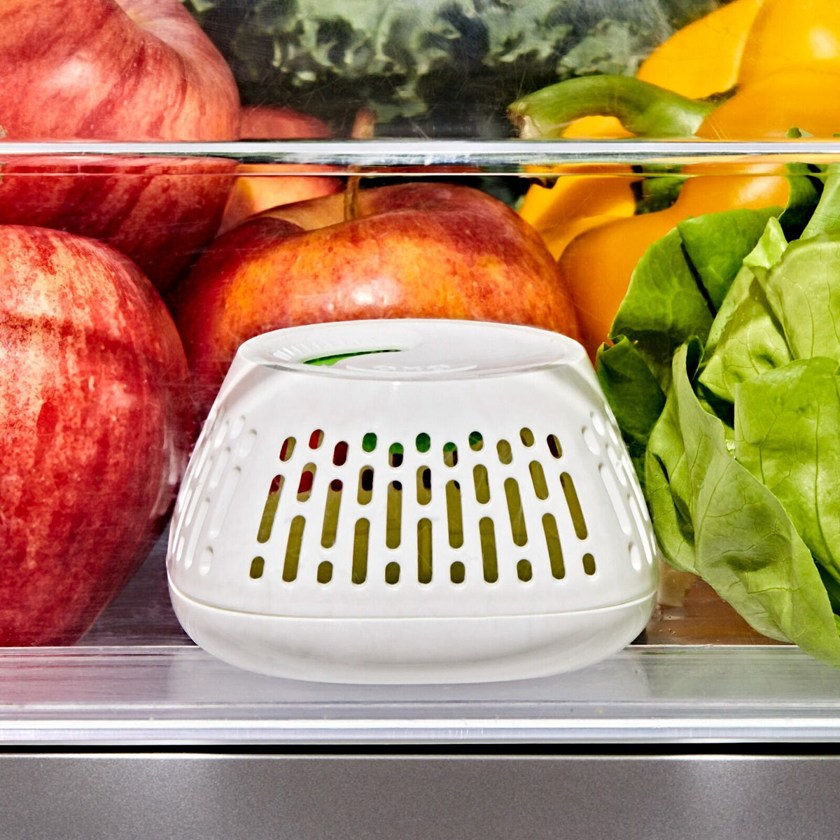 produce-saver-crisper-drawer-insert-2-pack-h3 gg_11427700_greensaver-crisper-drawer-insert_pdp_02.jpeg