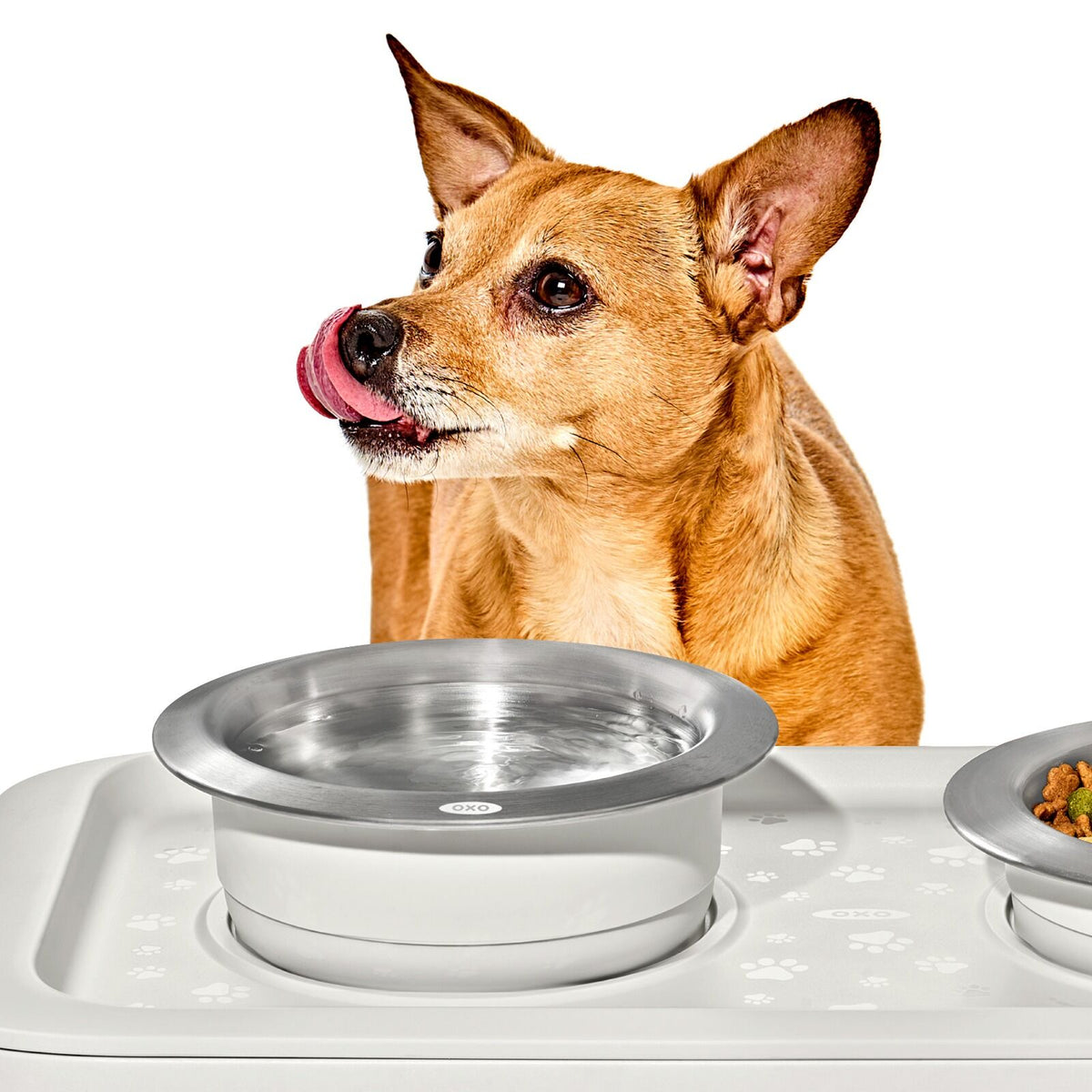 oxo-pet-nonslip-bowl-medium-2-cups-480-ml-s3 pet_7101900_nonslip-medium-bowl_pdp_02.jpeg