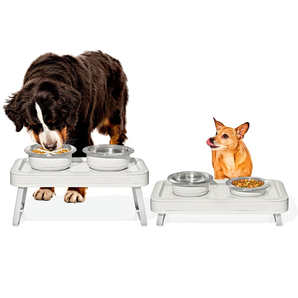 oxo-pet-adjustable-elevated-feeder-x8 pet_7102300_elevated-feeder_pdp_01.jpeg