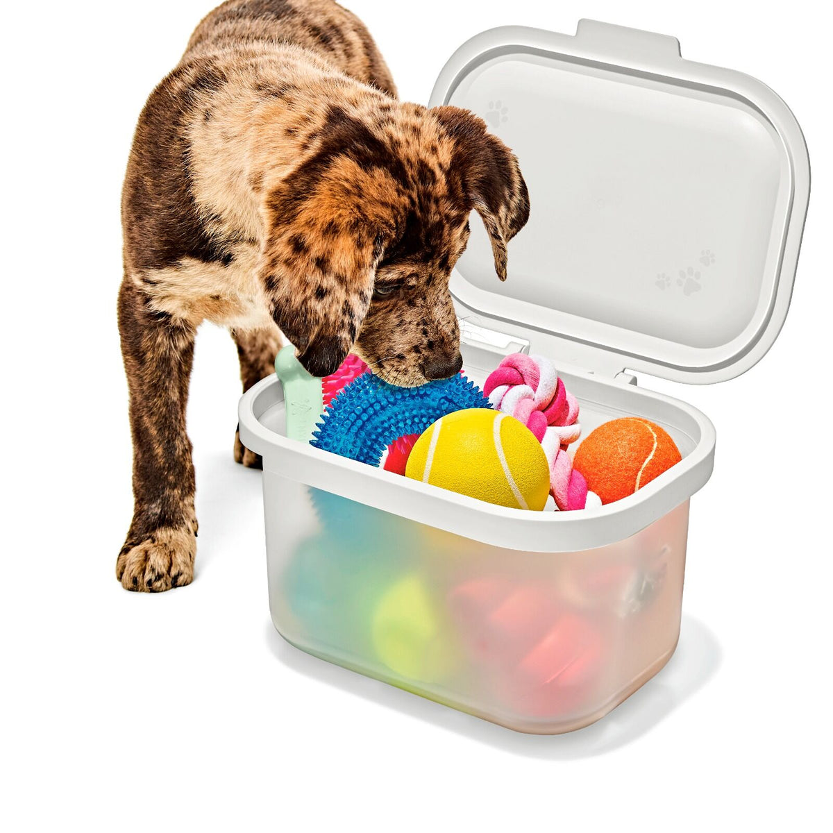 oxo-pet-multi-purpose-container-e9 pet_7301300_multi-purpose-container_pdp_06.jpeg